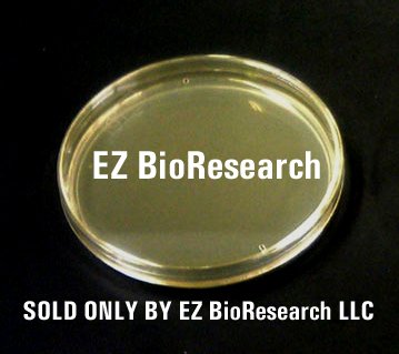 EZ BioResearch Pre-poured Agar Plates and Swabs, 10 plates & 10 swabs